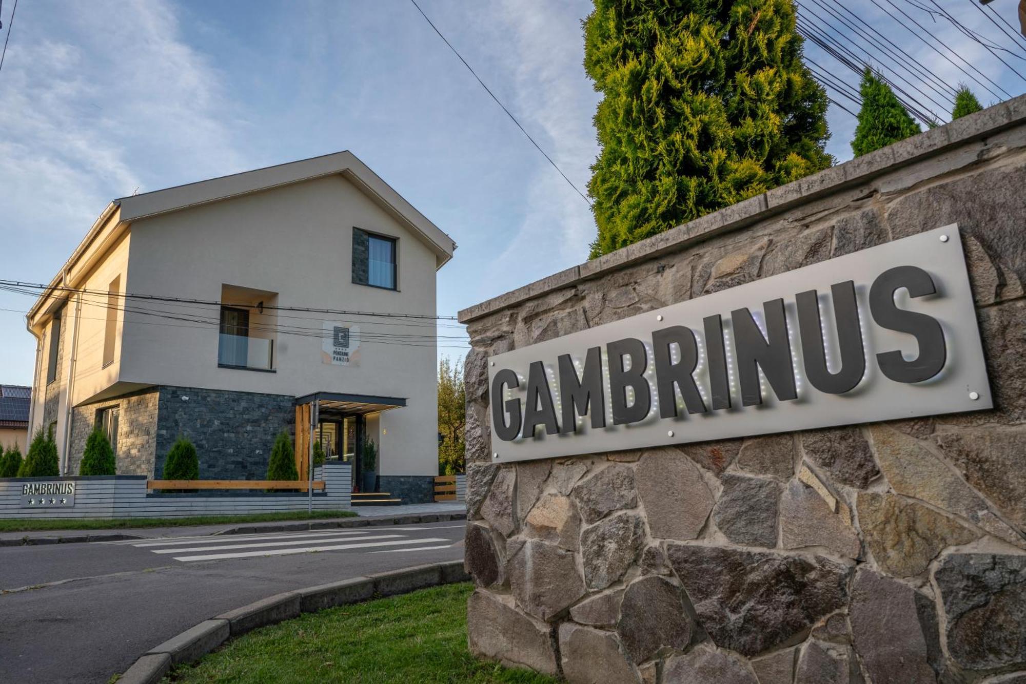 Pensiunea Gambrinus ****
